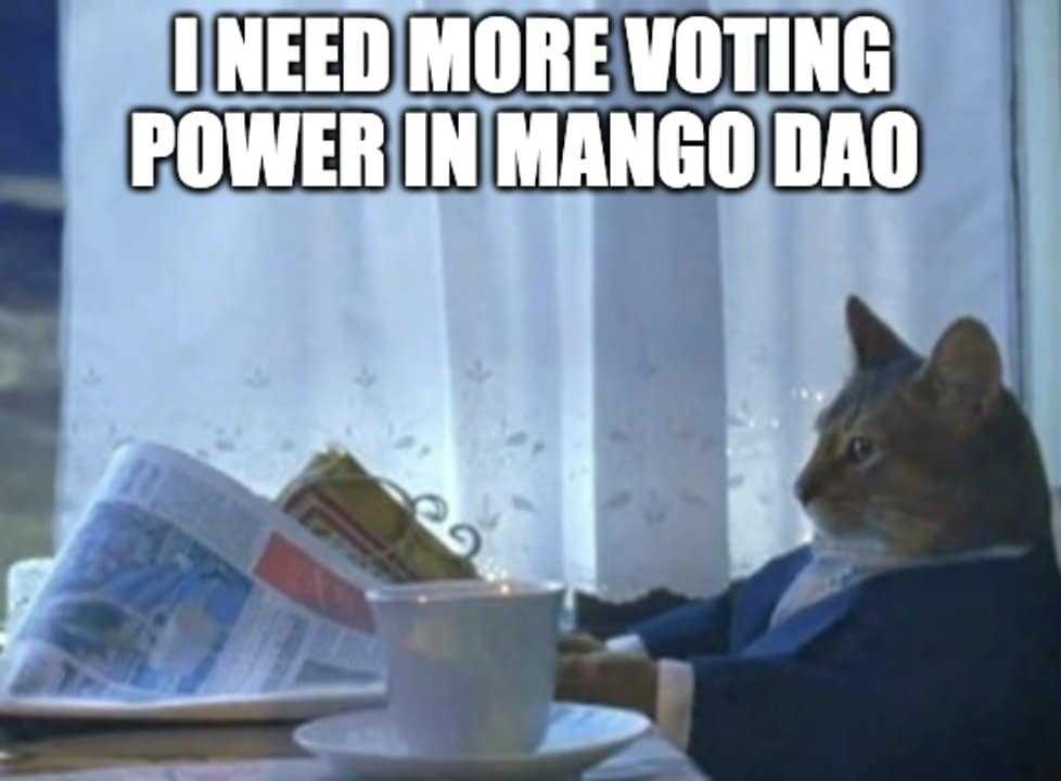 Mango DAO meme