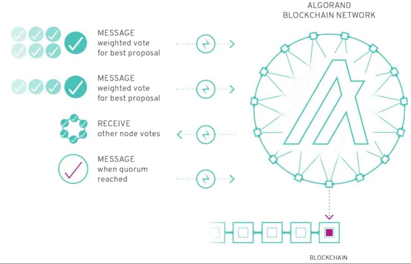 algorand consensus