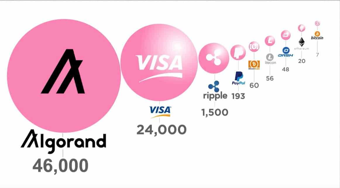 algorand transactions per second