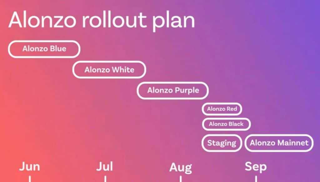 alonzo timeline