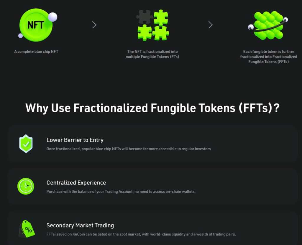 fractionalized NFTs