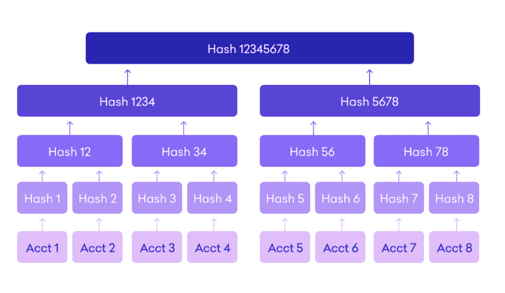 Kraken Merkle Tree