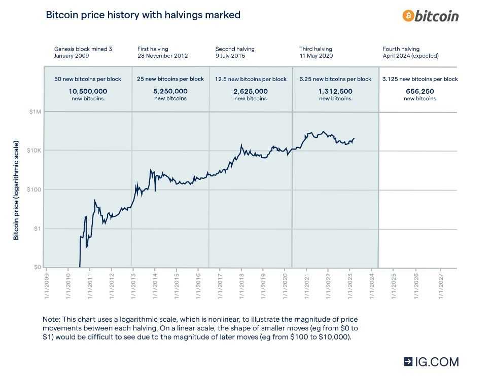 Bitcoin Halving.jpg