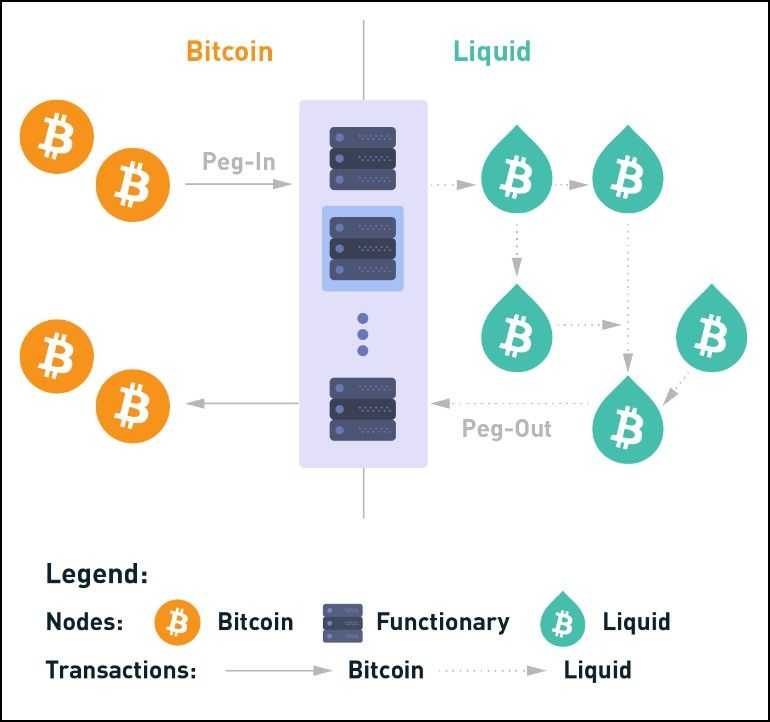 Liquid Network Design.jpg