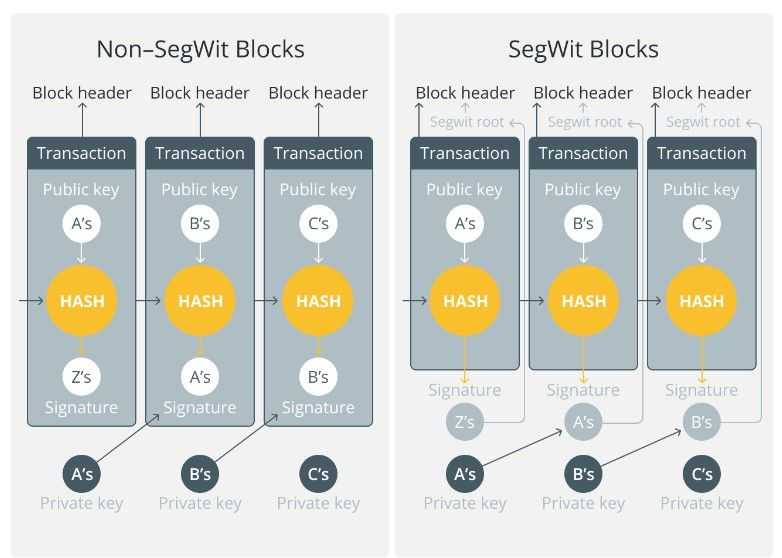 segwit.jpg